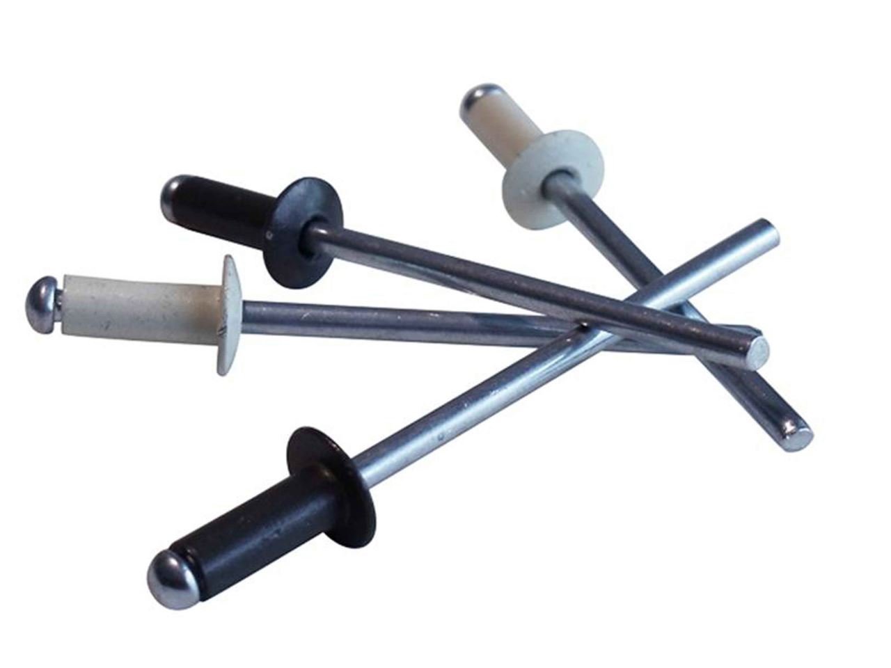 #43 Stainless Steel Rivets